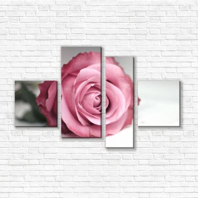 модульные картины Цветок розы