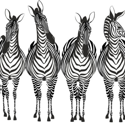 фотообои Нарисованные зебры